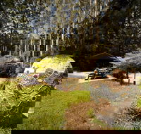 The Pines Picnic Area - SA Accommodation