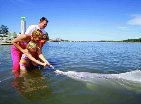 Tourist Drive- Cooloola Coast Fraser Island - SA Accommodation 2