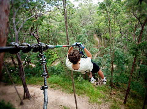 TreeTop Challenge - SA Accommodation 0