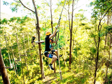 TreeTop Challenge - SA Accommodation 1