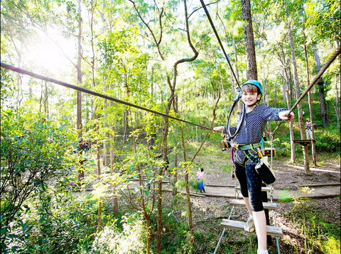 TreeTop Challenge - SA Accommodation 2