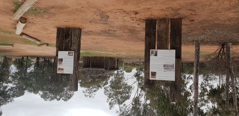 True Blue Poppet Head - Cooinda Park - SA Accommodation 1