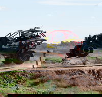 Turbo Buggy Ride - SA Accommodation
