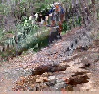 Turner Hill Mountain Bike Trail Murray - SA Accommodation