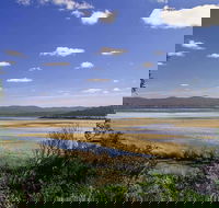 Wallagoot Lake Picnic Area and Boat Ramp - SA Accommodation