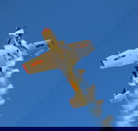 Warbird Aerial Adventures - SA Accommodation