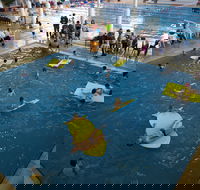 Wodonga Sports and Leisure Centre - SA Accommodation