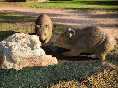 Wombat Statues, Moonta - SA Accommodation 0