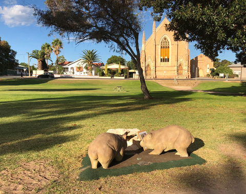 Wombat Statues, Moonta - SA Accommodation 2