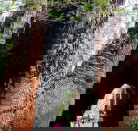 Ancient Empire Walk Valley of the Giants - SA Accommodation