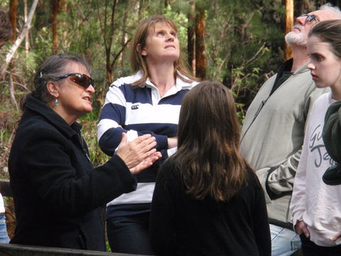 Ancient Empire Walk, Valley Of The Giants - SA Accommodation 1