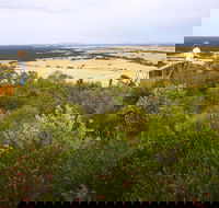 Archer Drive Scenic Drive and Lookout - SA Accommodation