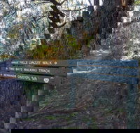 Arthurs Seat to Kings Falls Walk - SA Accommodation