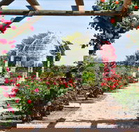 Australian Inland Botanic Gardens - SA Accommodation