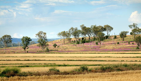 Bell - SA Accommodation 1