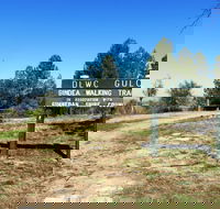 Bindea Walking Track - SA Accommodation