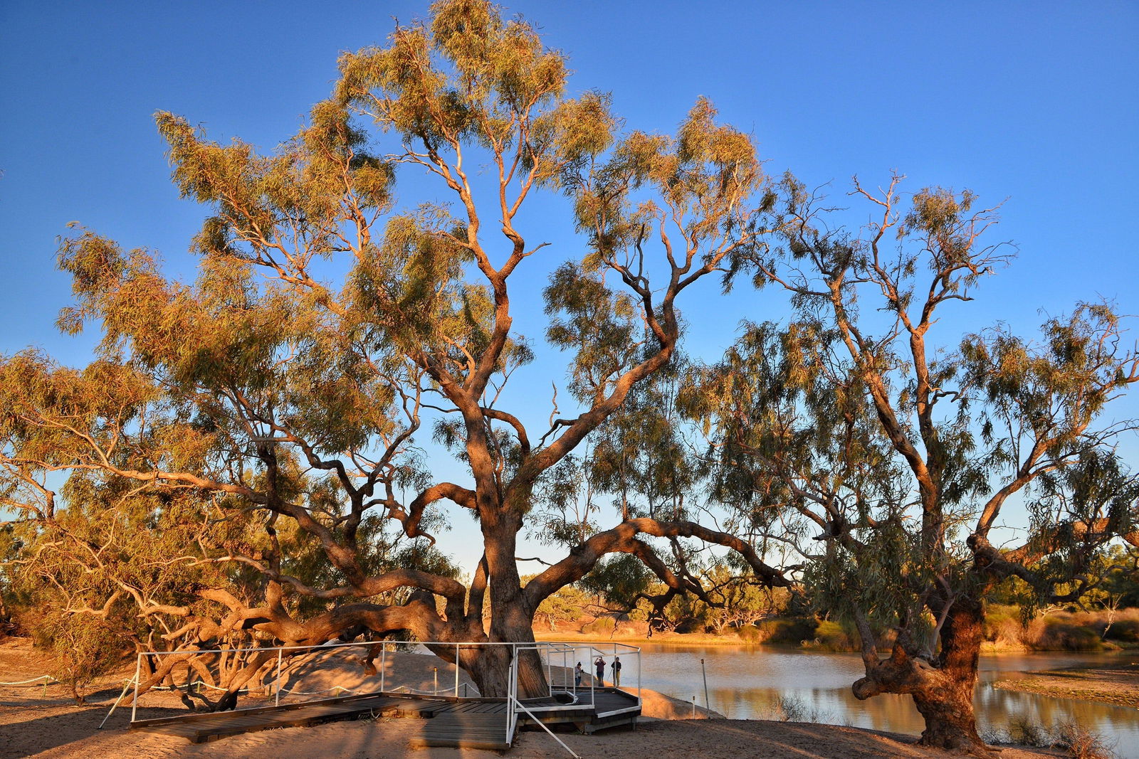 Durham Downs QLD SA Accommodation