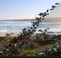 Cape Conran Coastal Park - SA Accommodation