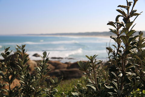 Cape Conran Coastal Park - SA Accommodation 0