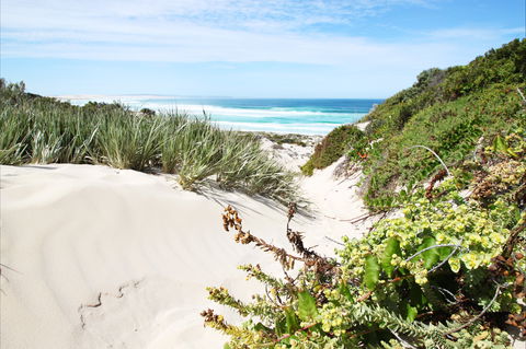 Coffin Bay National Park - SA Accommodation 1
