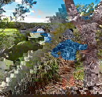 Corkwood and Scribbly Gum Walking Track - SA Accommodation