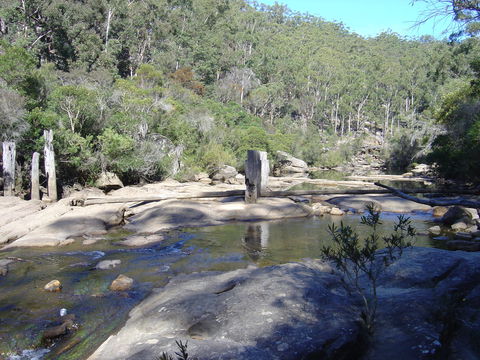 Frere's Crossing Bushwalk - SA Accommodation 0