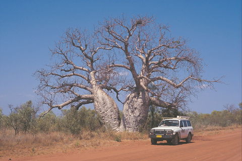 Gibb River Road - SA Accommodation 2
