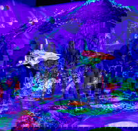 Glowing Rooms 3D Mini Golf - SA Accommodation