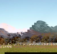 Grampians - SA Accommodation