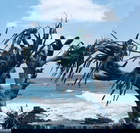 Hastings Point Beach - SA Accommodation