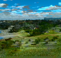 Hawkstowe Picnic Area - SA Accommodation