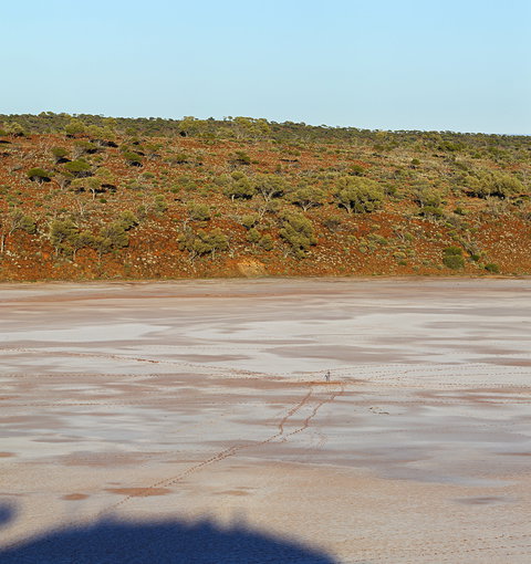 Inside Australia - Antony Gormley Sculptures - SA Accommodation 0