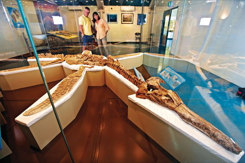Kronosaurus Korner - SA Accommodation 1
