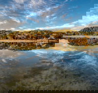 Lashmar Conservation Park - SA Accommodation