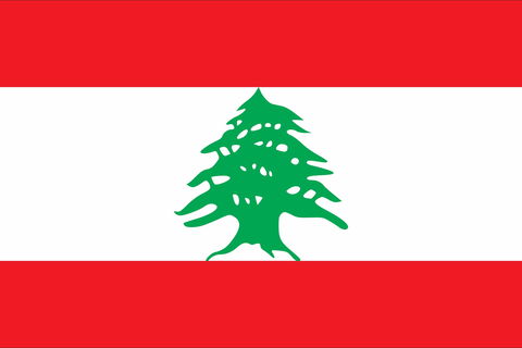 Lebanon, Embassy Of - SA Accommodation 0