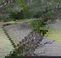 Leschenault Peninsula Conservation Park - SA Accommodation