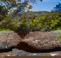 Marramarra Ridge to Smugglers Ridge walking track - SA Accommodation