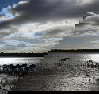 Marine Parade Hastings Foreshore Reserve Circuit - Cycling - SA Accommodation