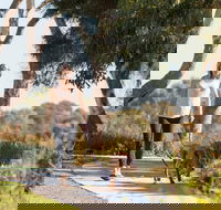 Meningie Walking and Cycling Trails - SA Accommodation
