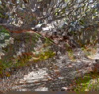 Middle Lagoon Walking Track - SA Accommodation