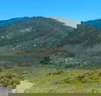 Monument Hill Walking Track - SA Accommodation