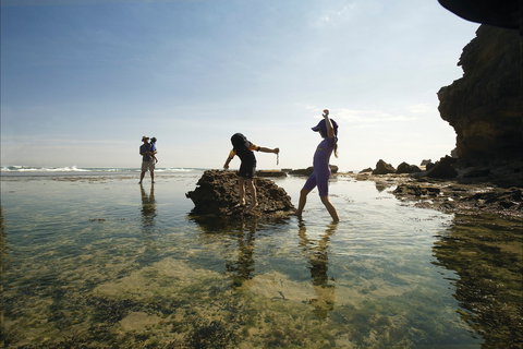 Mornington Peninsula National Park - SA Accommodation 2