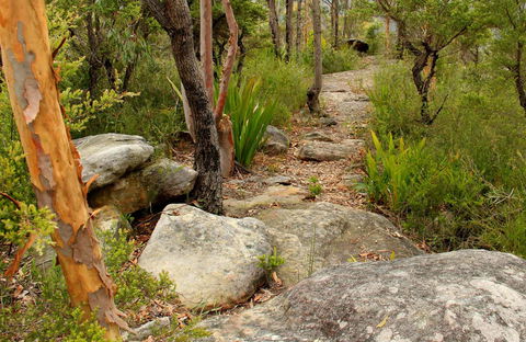 Mount Olive Trail - SA Accommodation 0