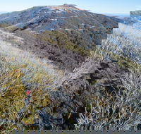 Mt Buller Bike Park - SA Accommodation