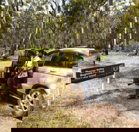 Murray Valley Regional Park - SA Accommodation