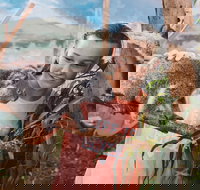 Oakvale Wildlife Park - SA Accommodation