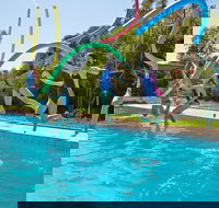 Oaklands War Memorial Swimming Pool - SA Accommodation