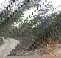 Paddys Ranges State Park - SA Accommodation
