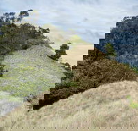 Pieries Peak Walking Track - SA Accommodation