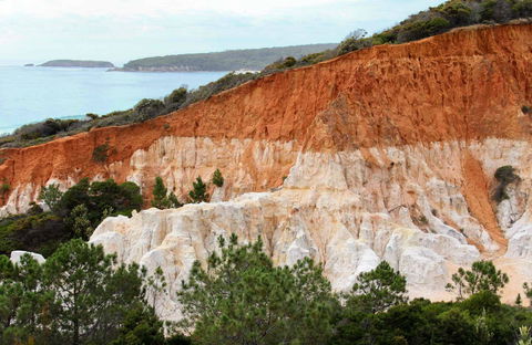 Pinnacles Loop Walking Track - SA Accommodation 0